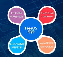 單片機(jī)項目開發(fā)